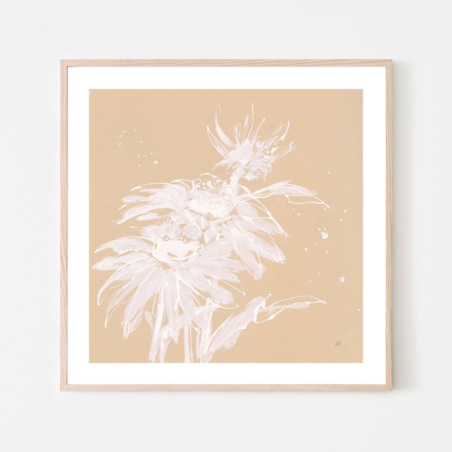 wall-art-print-canvas-poster-framed-Echinacea, Style A-by-Chris Paschke-Gioia Wall Art