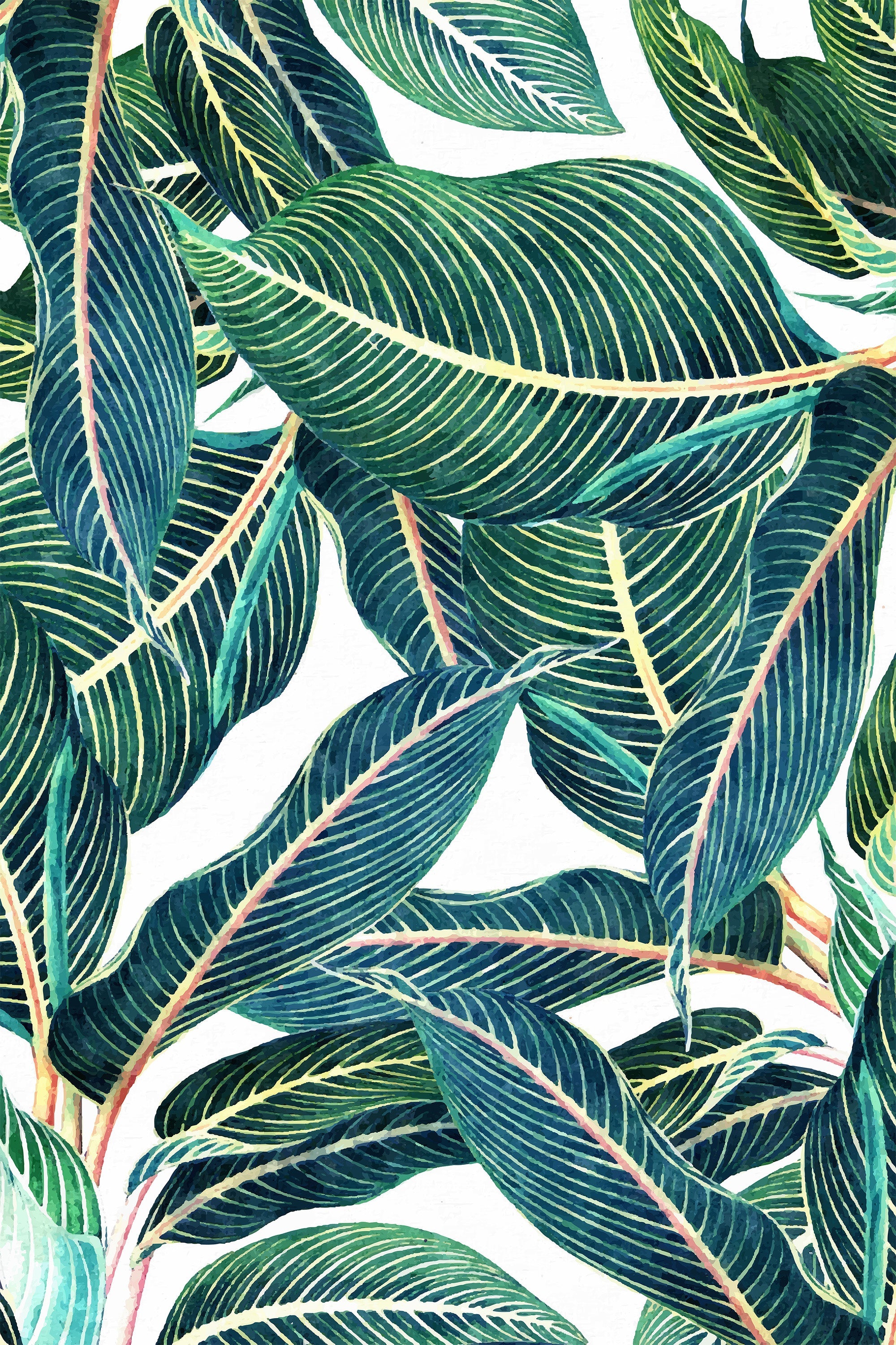 wall-art-print-canvas-poster-framed-Edge and Dance Botanical-1
