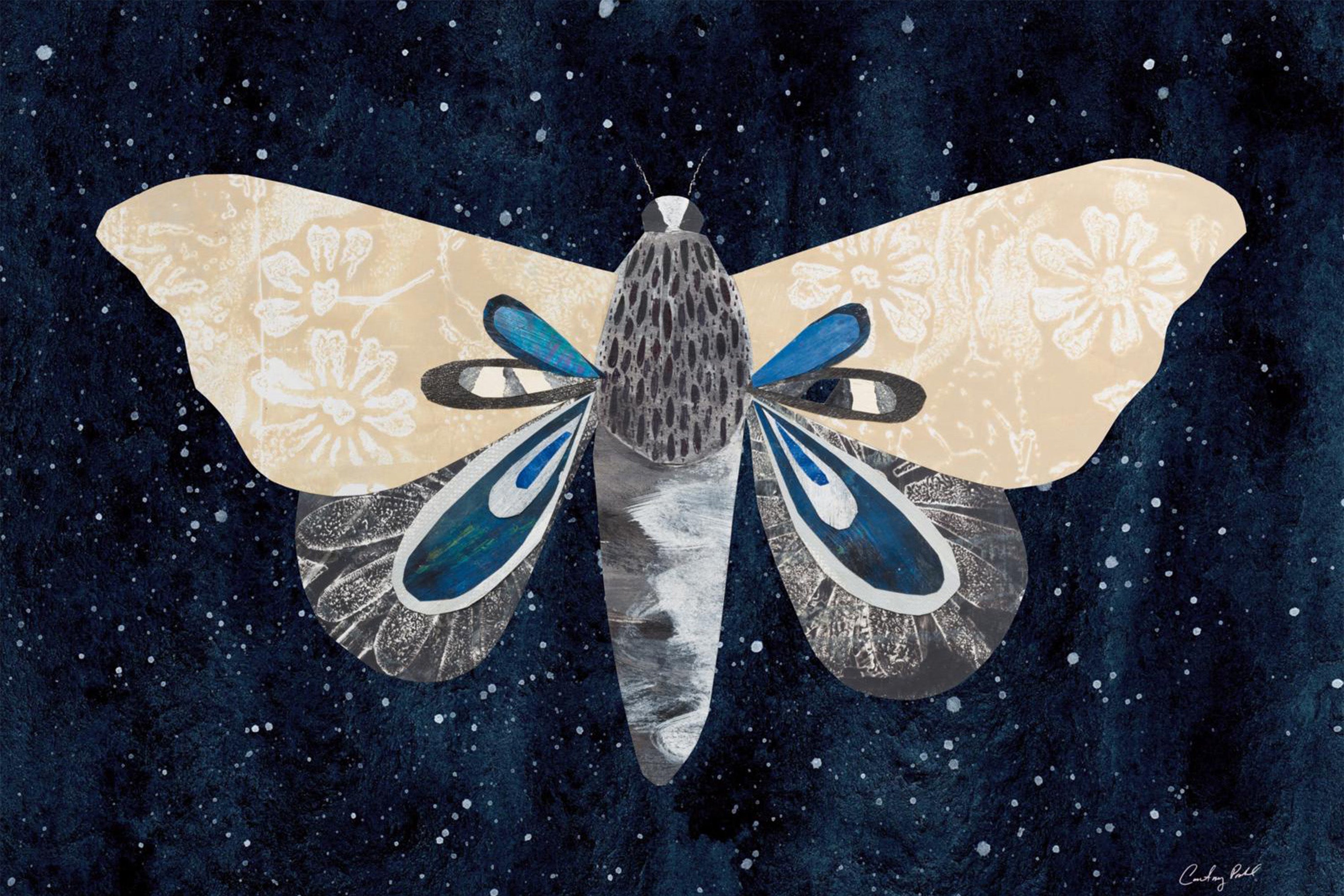 wall-art-print-canvas-poster-framed-Elegant Moth, Style A-1