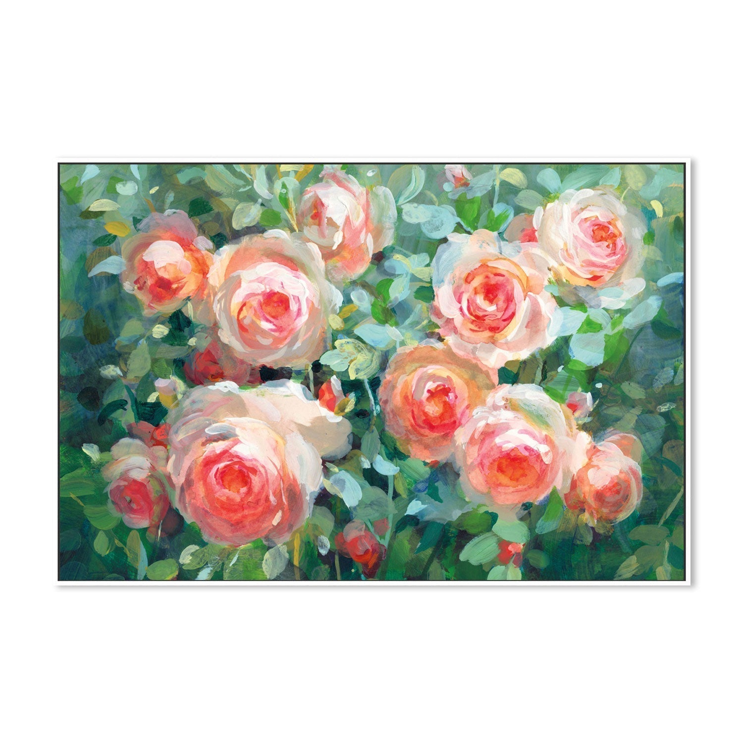 wall-art-print-canvas-poster-framed-English Roses-by-Danhui Nai-Gioia Wall Art