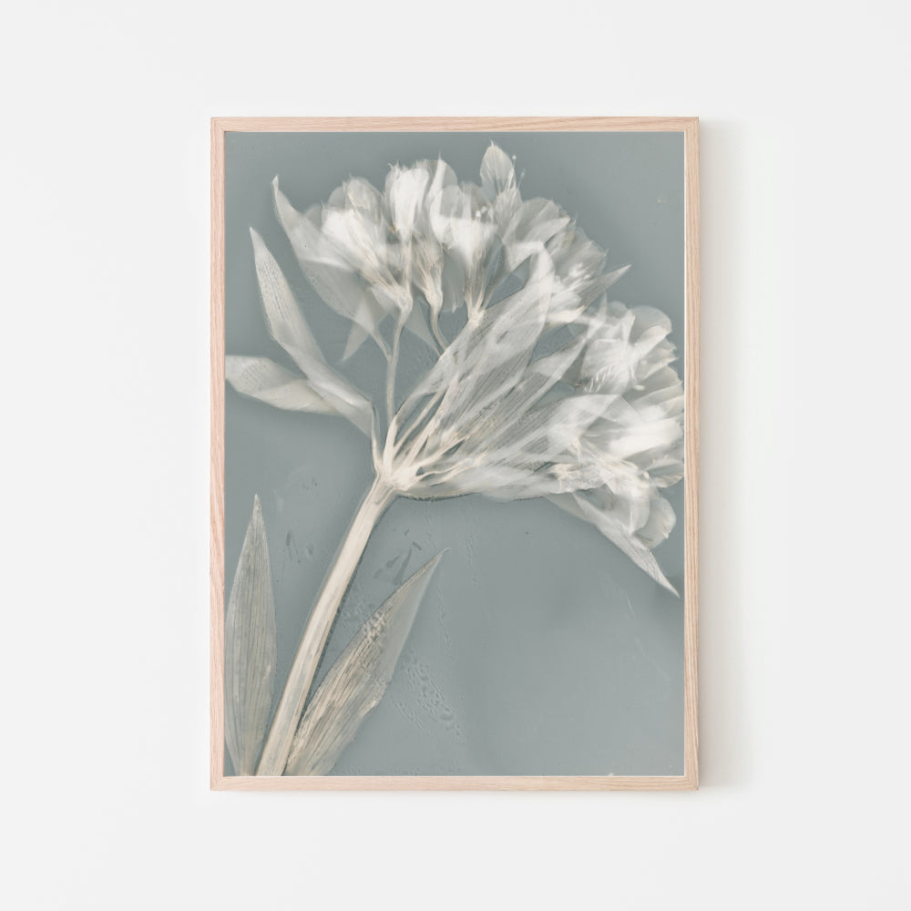 wall-art-print-canvas-poster-framed-Ethereal, Set Of 2-by-Krista Mccurdy-Gioia Wall Art