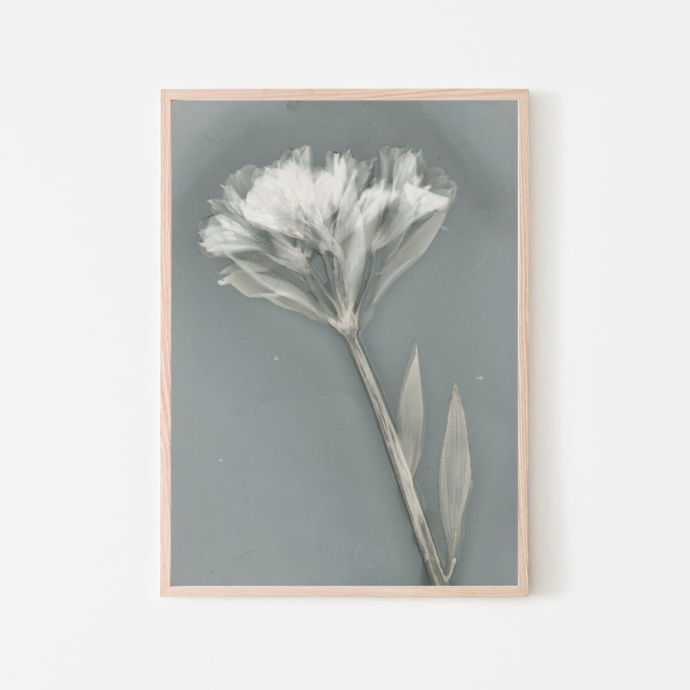 wall-art-print-canvas-poster-framed-Ethereal, Set Of 2-by-Krista Mccurdy-Gioia Wall Art