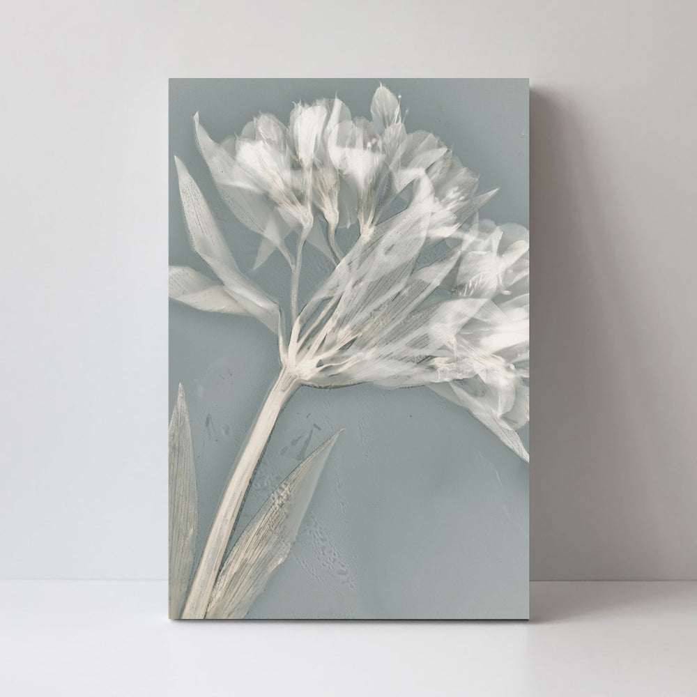 wall-art-print-canvas-poster-framed-Ethereal, Style A-by-Krista Mccurdy-Gioia Wall Art