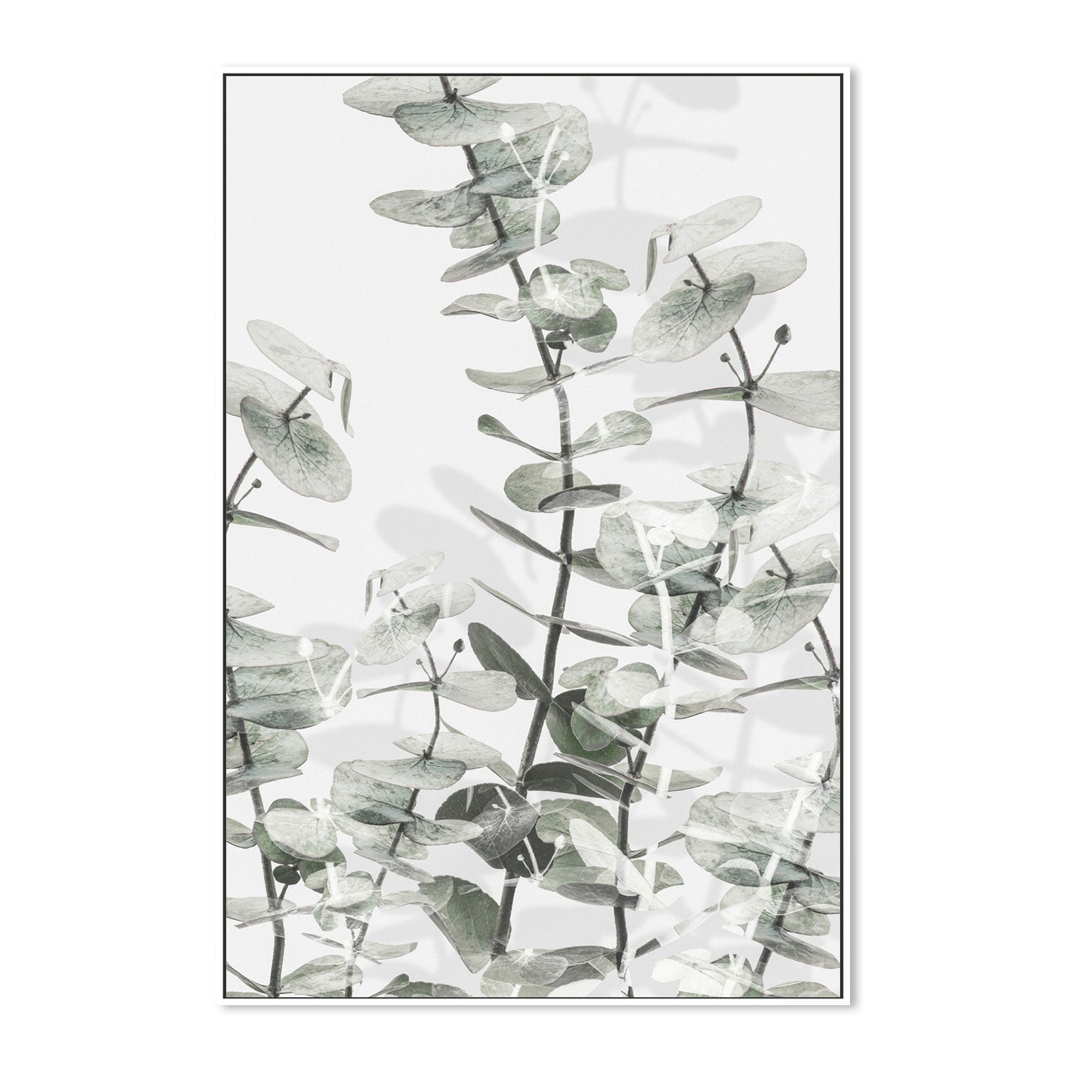 wall-art-print-canvas-poster-framed-Eucalyptus-by-Plus X Studio-Gioia Wall Art