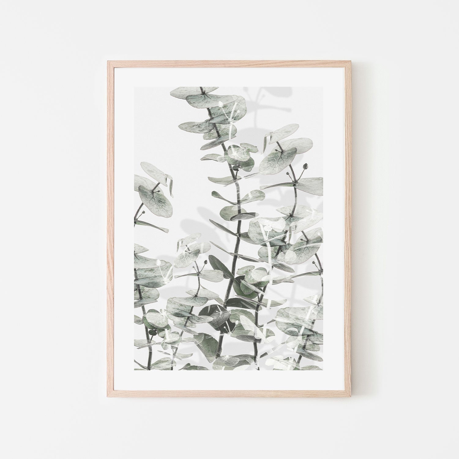 wall-art-print-canvas-poster-framed-Eucalyptus-by-Plus X Studio-Gioia Wall Art