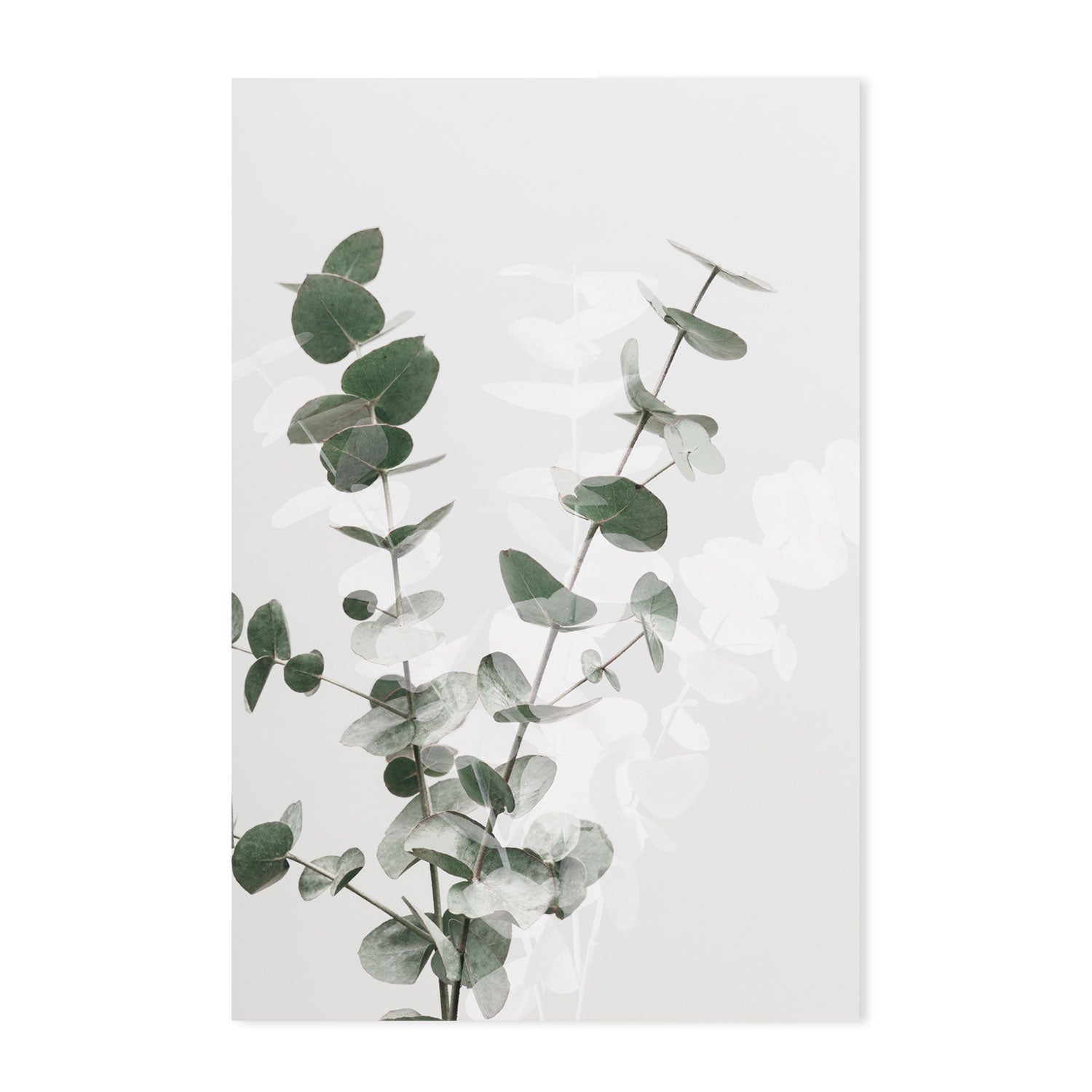 wall-art-print-canvas-poster-framed-Eucalyptus Creative, Style A-by-Plus X Studio-Gioia Wall Art