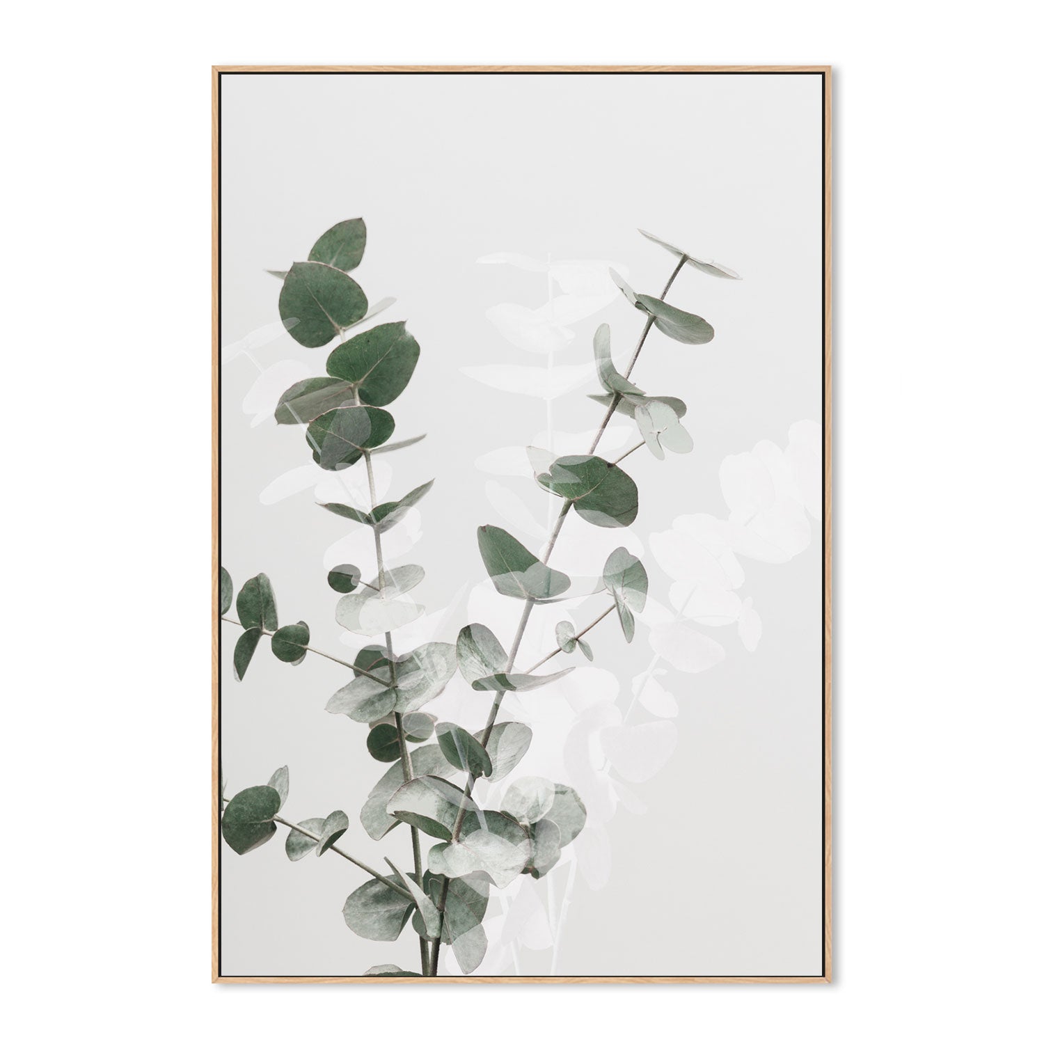 wall-art-print-canvas-poster-framed-Eucalyptus Creative, Style A-by-Plus X Studio-Gioia Wall Art
