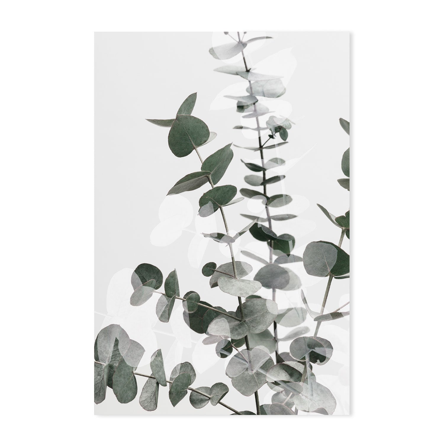 wall-art-print-canvas-poster-framed-Eucalyptus Creative, Style B-by-Plus X Studio-Gioia Wall Art