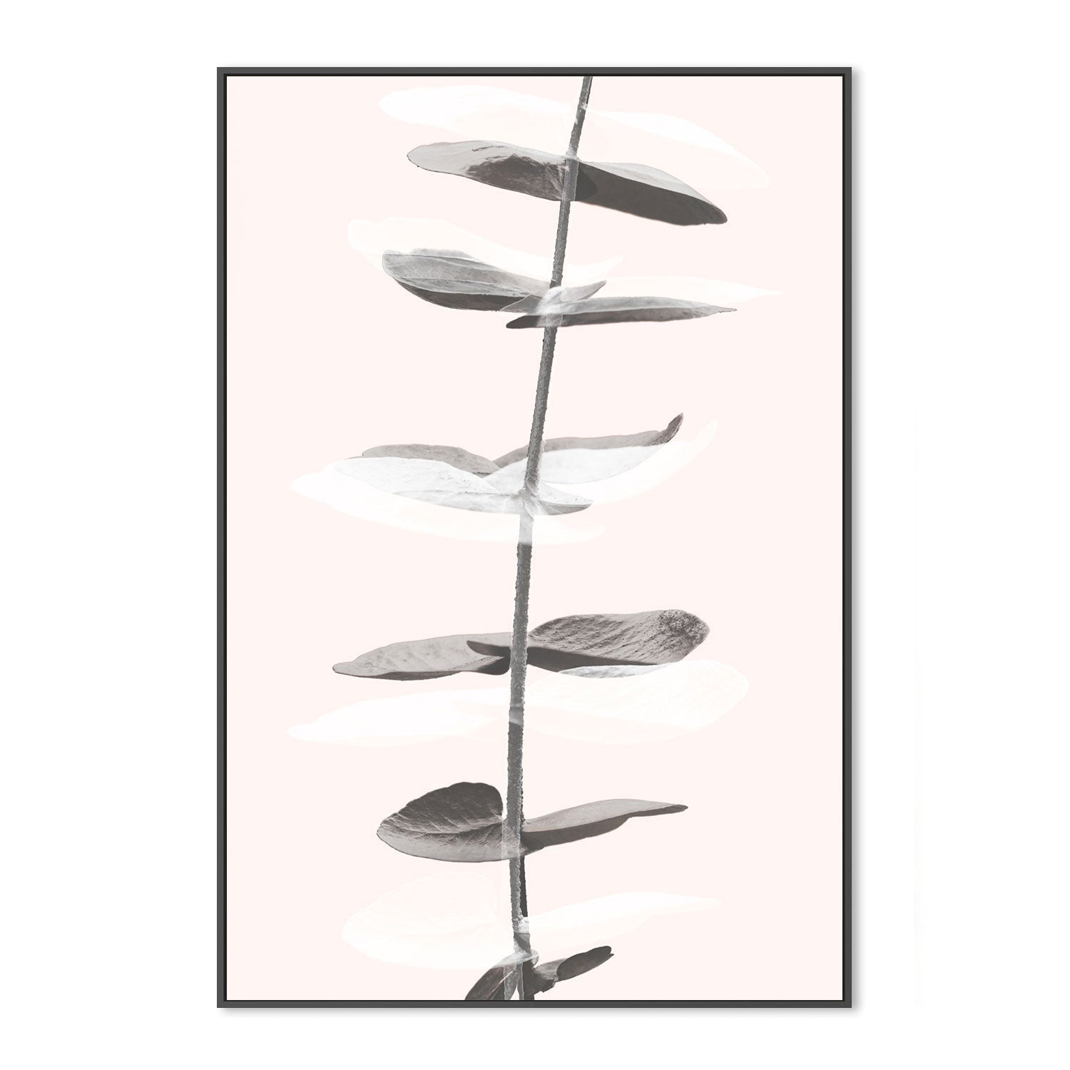 wall-art-print-canvas-poster-framed-Eucalyptus Creative, Style C-by-Plus X Studio-Gioia Wall Art
