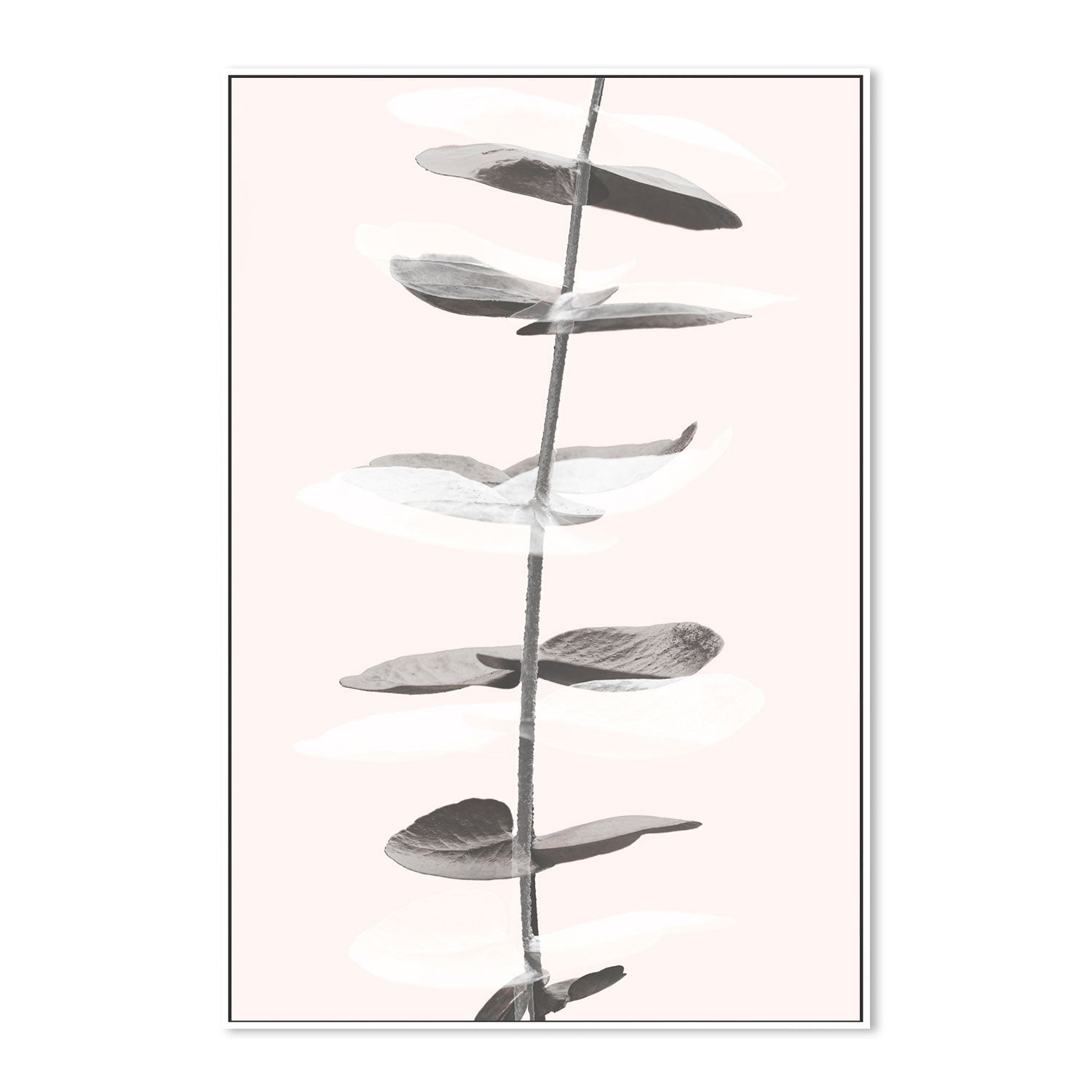 wall-art-print-canvas-poster-framed-Eucalyptus Creative, Style C-by-Plus X Studio-Gioia Wall Art