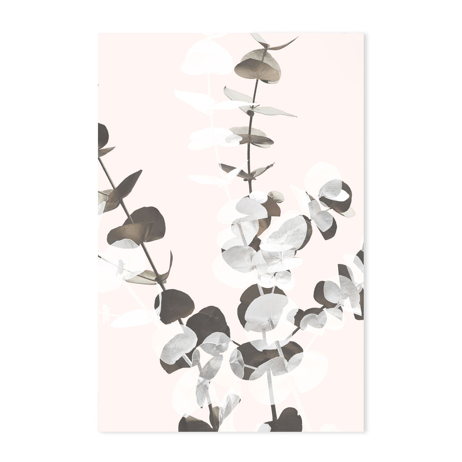 wall-art-print-canvas-poster-framed-Eucalyptus Creative, Style D-by-Plus X Studio-Gioia Wall Art