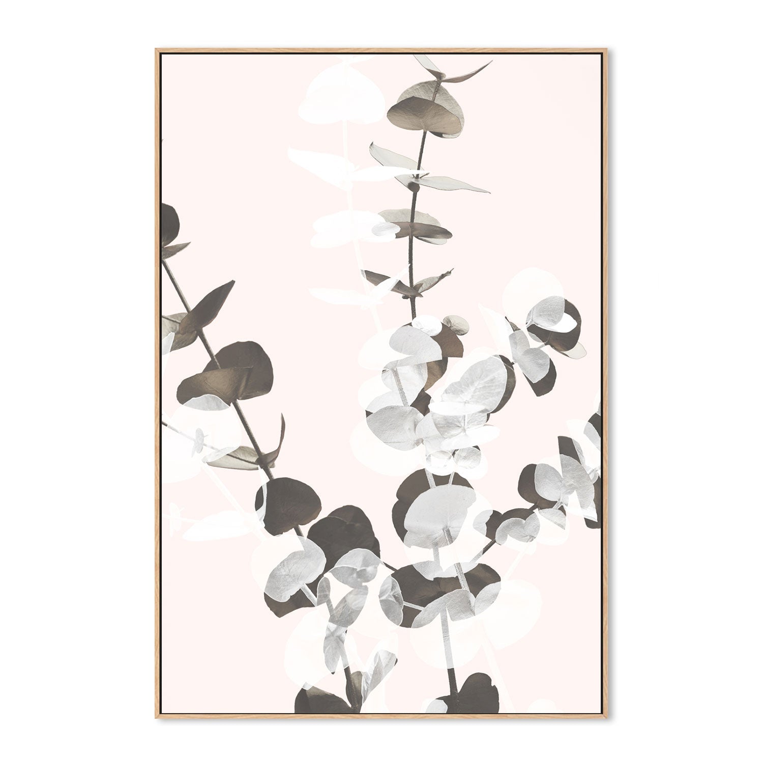 wall-art-print-canvas-poster-framed-Eucalyptus Creative, Style D-by-Plus X Studio-Gioia Wall Art