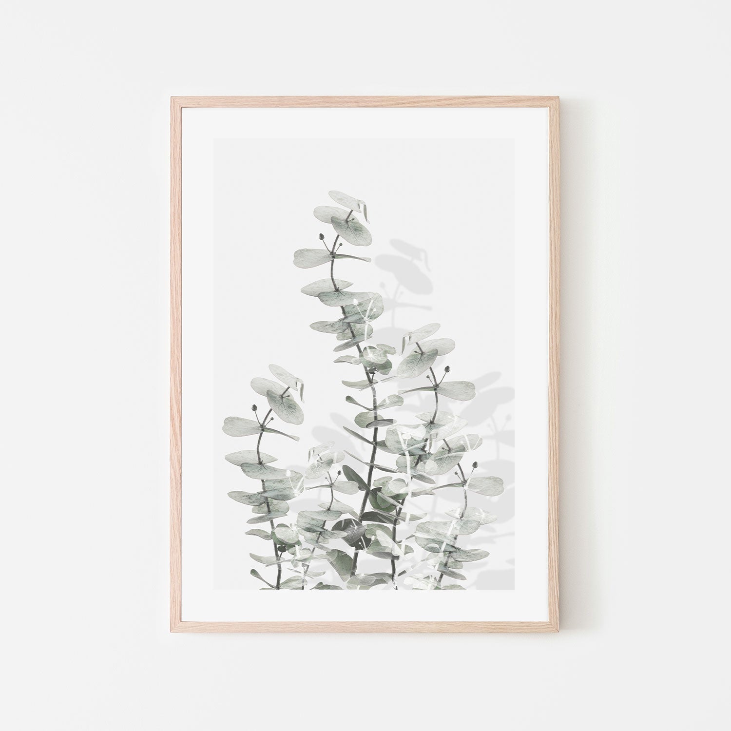 wall-art-print-canvas-poster-framed-Eucalyptus Creative, Style E-by-Plus X Studio-Gioia Wall Art