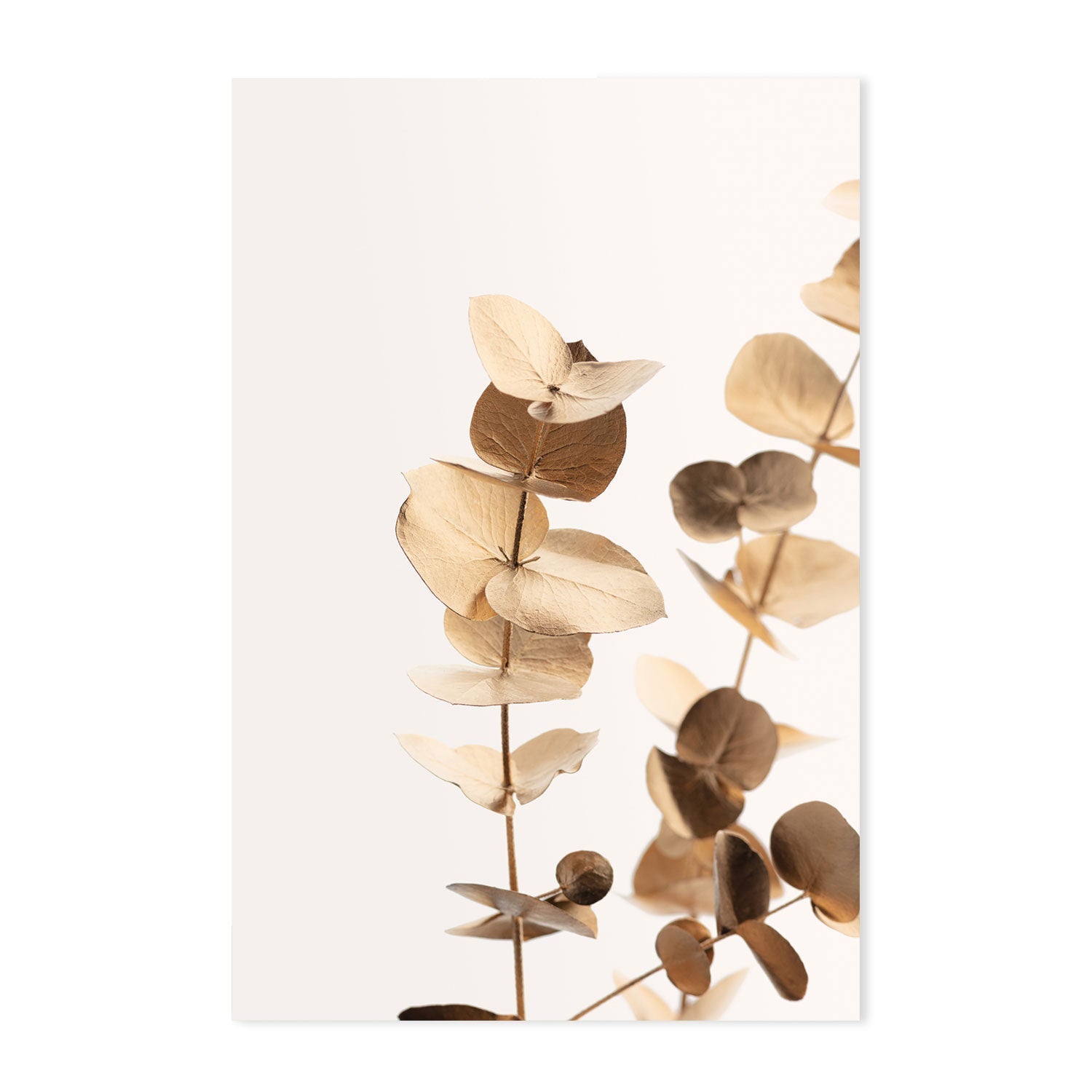 wall-art-print-canvas-poster-framed-Eucalyptus Gold, Style A-by-Plus X Studio-Gioia Wall Art