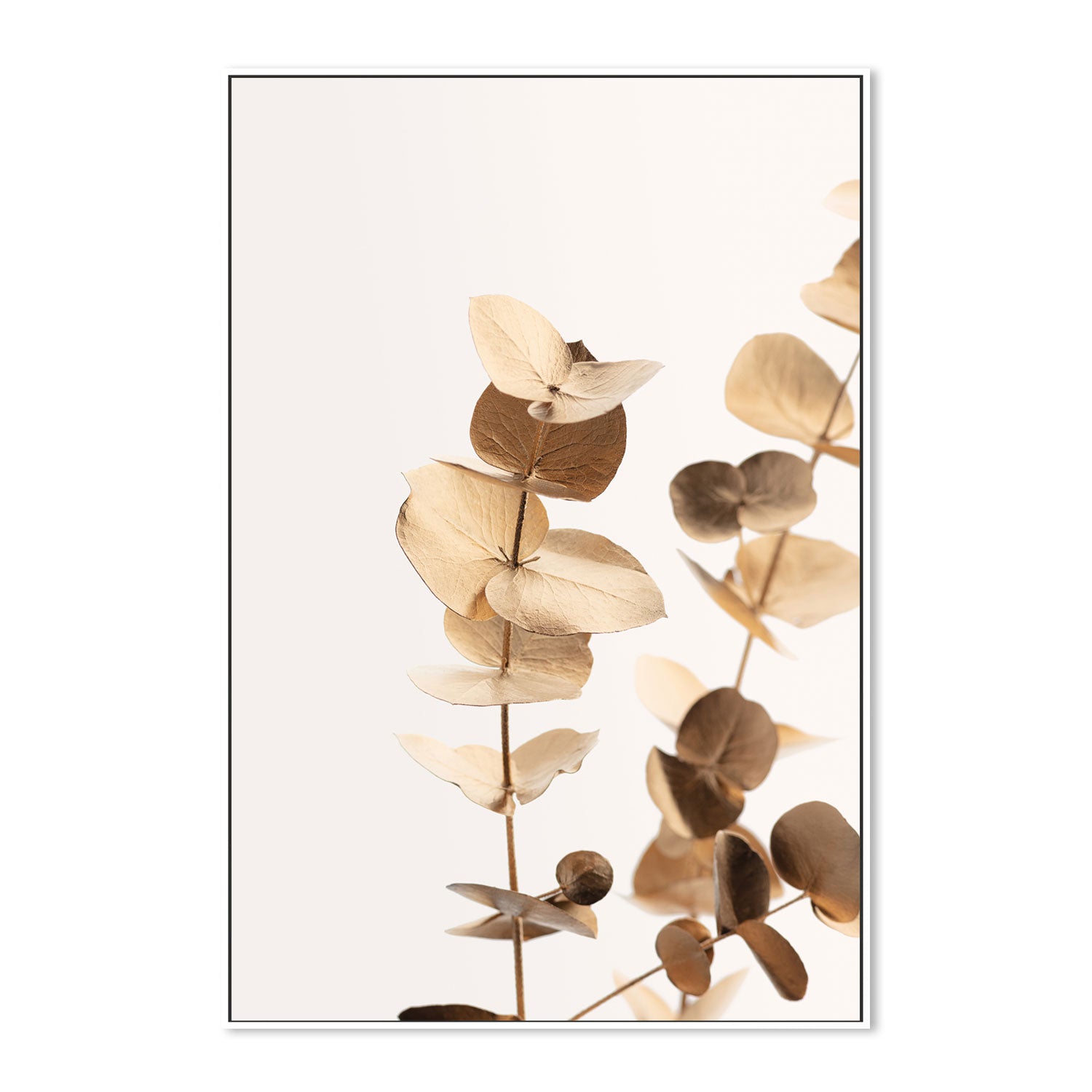 wall-art-print-canvas-poster-framed-Eucalyptus Gold, Style A-by-Plus X Studio-Gioia Wall Art