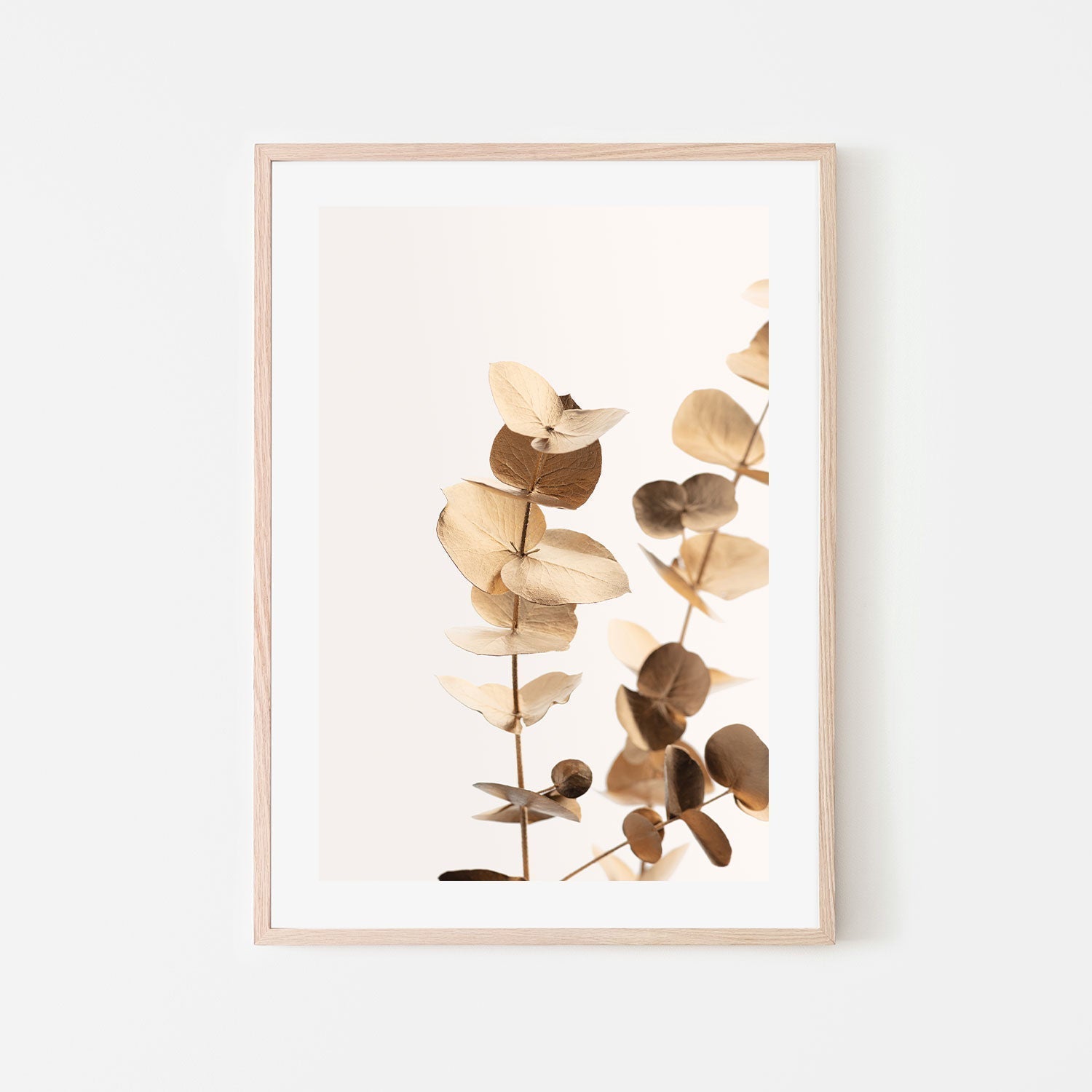 wall-art-print-canvas-poster-framed-Eucalyptus Gold, Style A-by-Plus X Studio-Gioia Wall Art