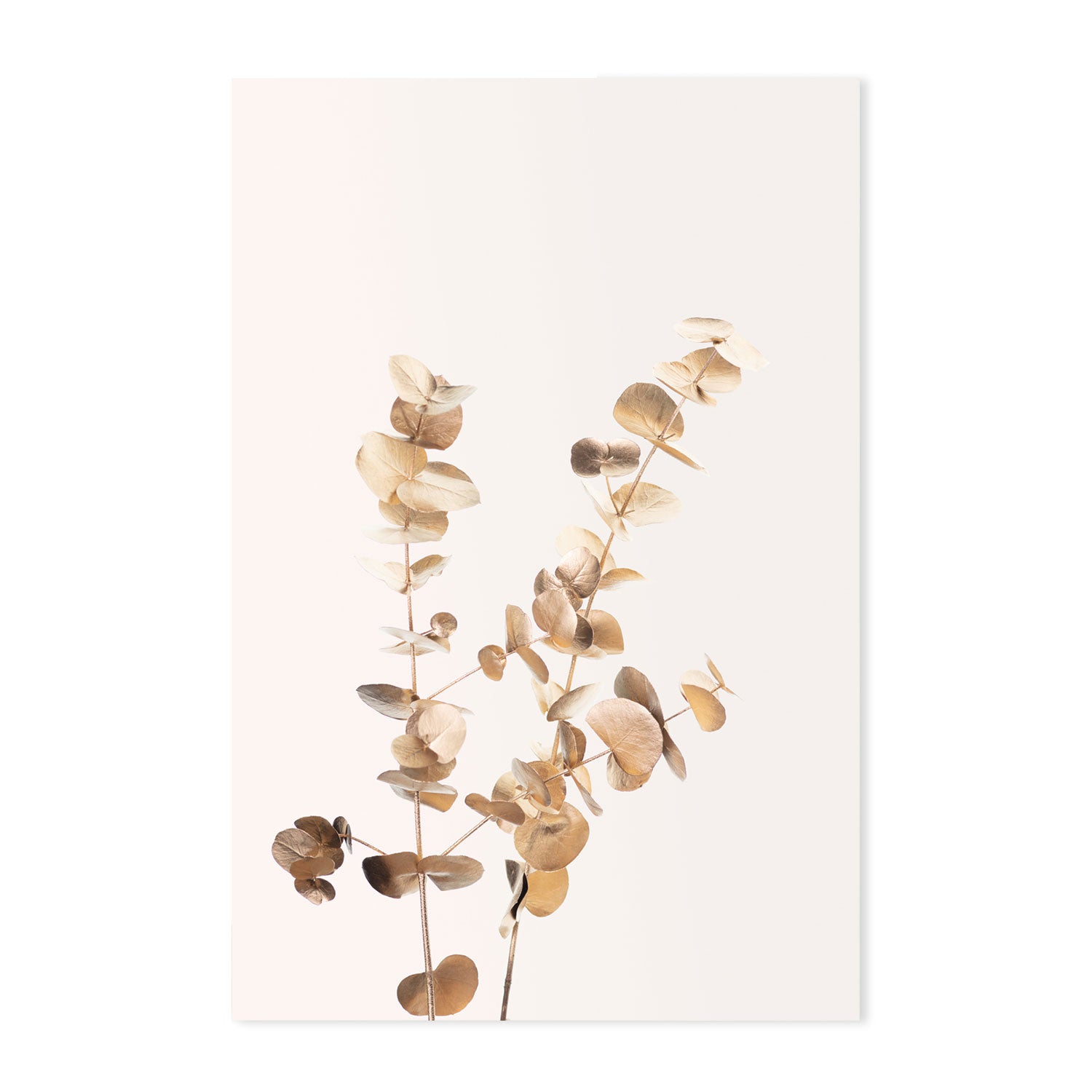 wall-art-print-canvas-poster-framed-Eucalyptus Gold, Style B-by-Plus X Studio-Gioia Wall Art