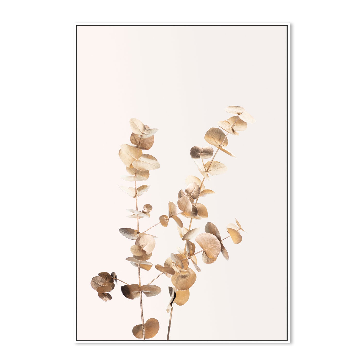 wall-art-print-canvas-poster-framed-Eucalyptus Gold, Style B-by-Plus X Studio-Gioia Wall Art