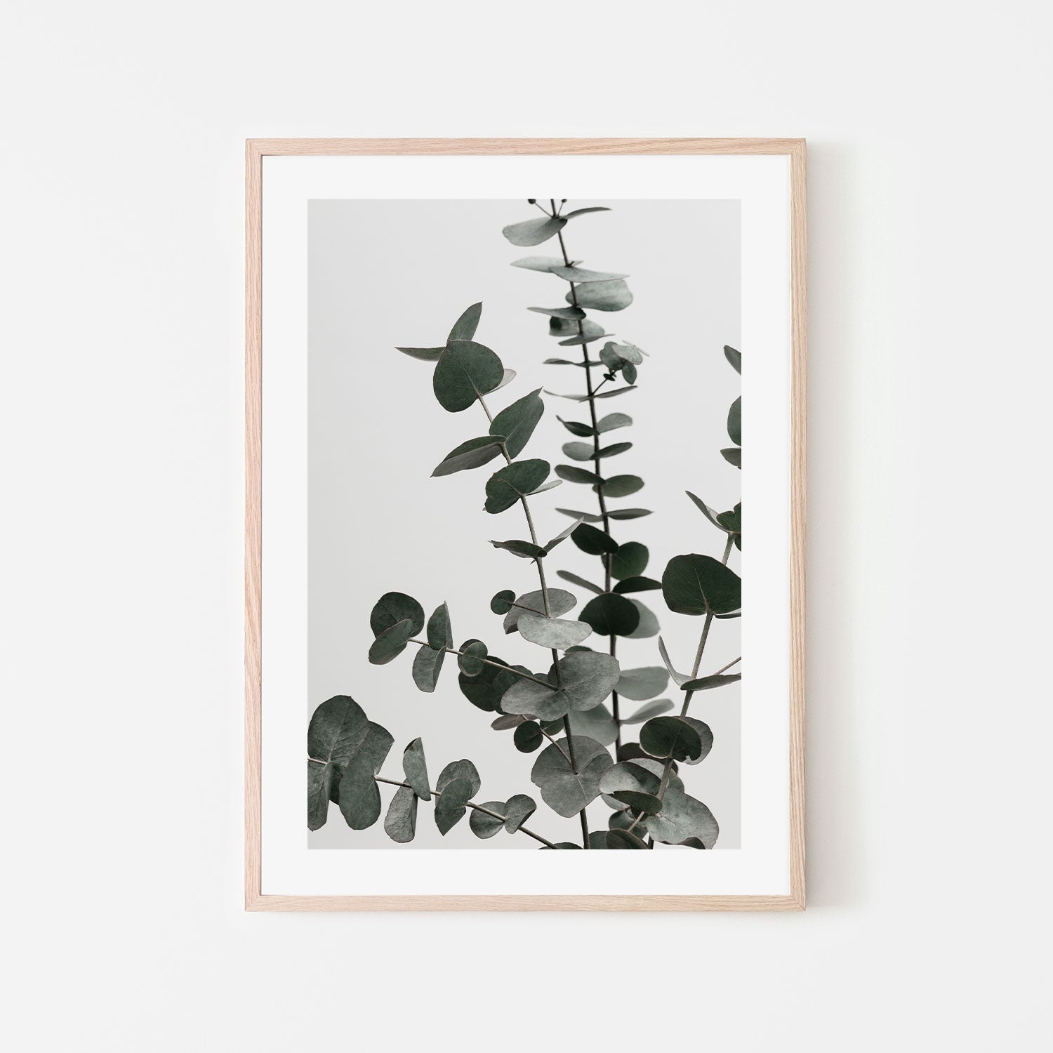 wall-art-print-canvas-poster-framed-Eucalyptus Natural, Style D-by-Plus X Studio-Gioia Wall Art