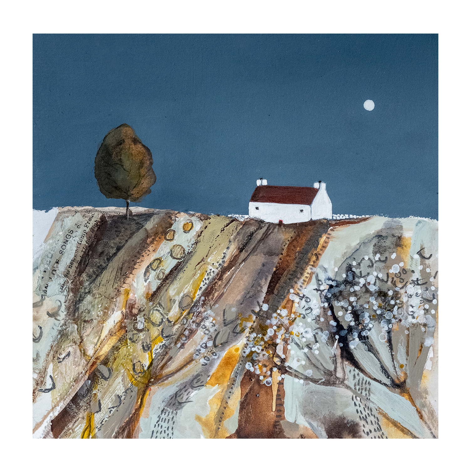 wall-art-print-canvas-poster-framed-Evening Light , By Louise O'Hara-1