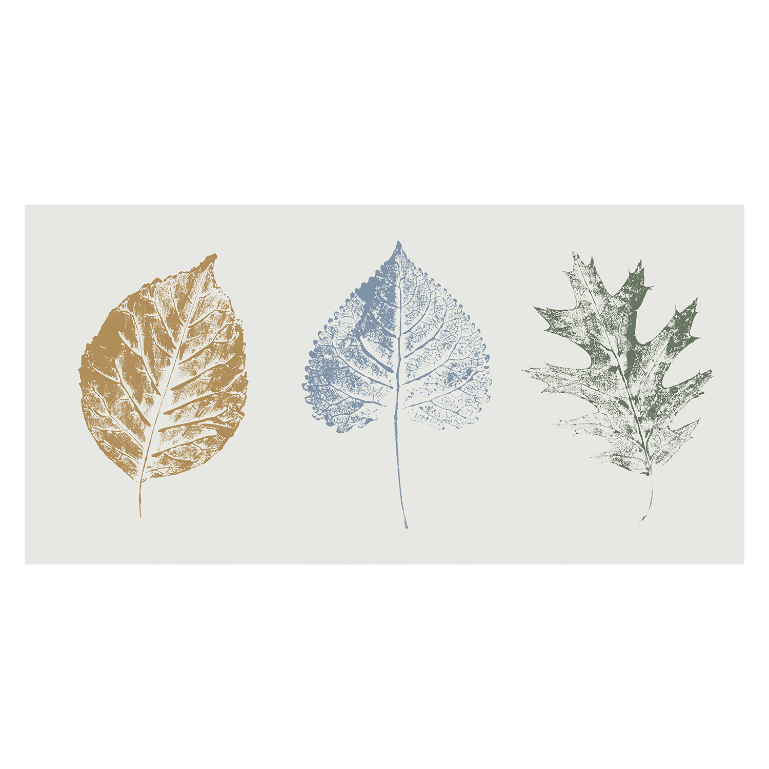 wall-art-print-canvas-poster-framed-Fall Visions , By Sarah Leonard-1