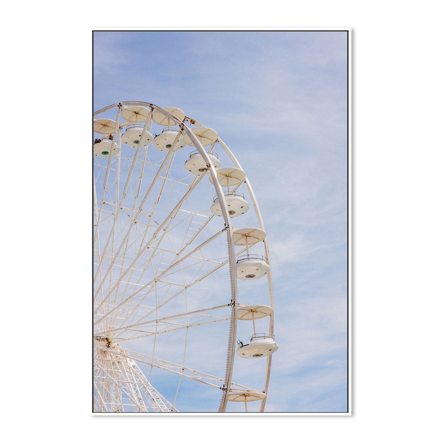 wall-art-print-canvas-poster-framed-Ferris-by-Jovani Demetrie-Gioia Wall Art