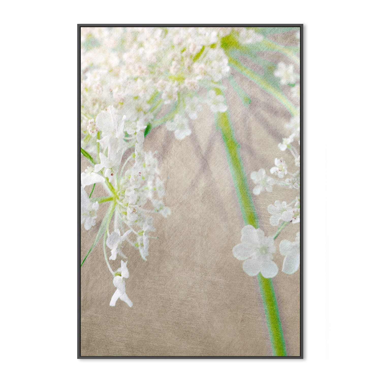 wall-art-print-canvas-poster-framed-First Prize , By Asia Jensen-3