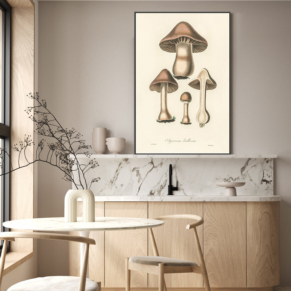 wall-art-print-canvas-poster-framed-Flat Bulb Mushrooms-GIOIA-WALL-ART