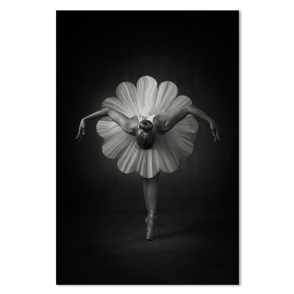 wall-art-print-canvas-poster-framed-Floral Ballet, By Ross Oscar-by-Plus X Studio-Gioia Wall Art