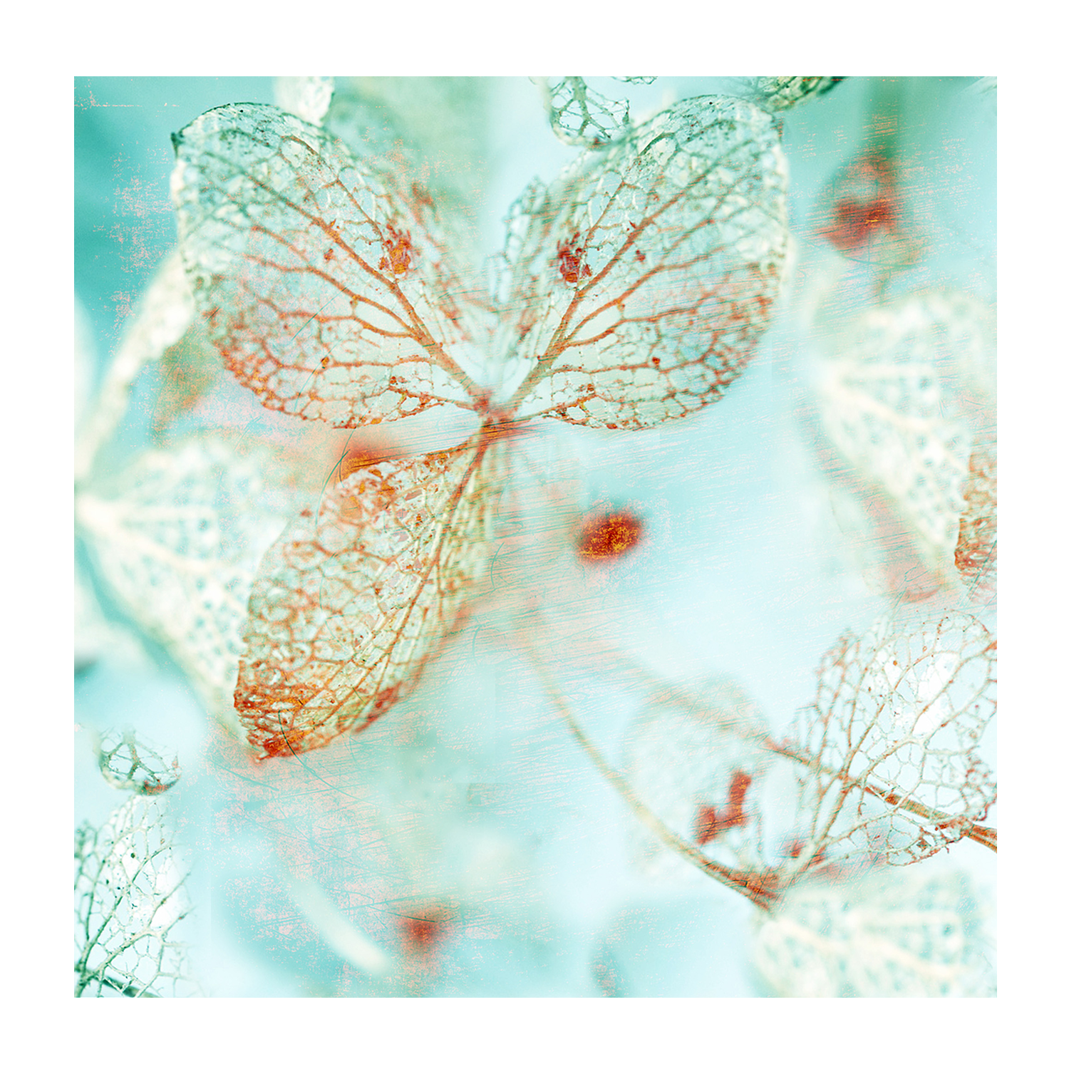 wall-art-print-canvas-poster-framed-Floral Blues, Style A-1