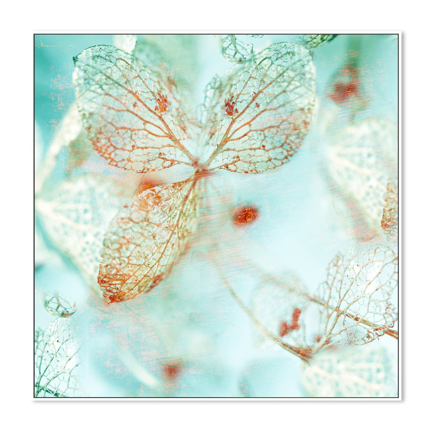 wall-art-print-canvas-poster-framed-Floral Blues, Style A-5