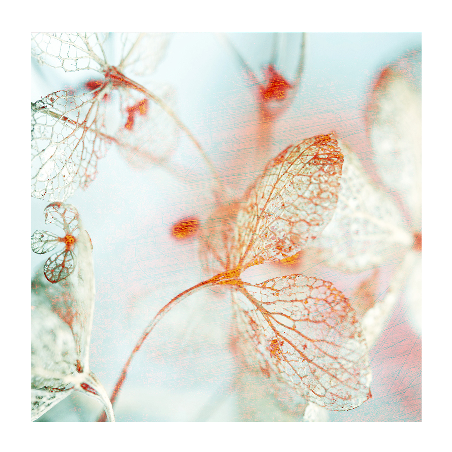 wall-art-print-canvas-poster-framed-Floral Blues, Style B-1