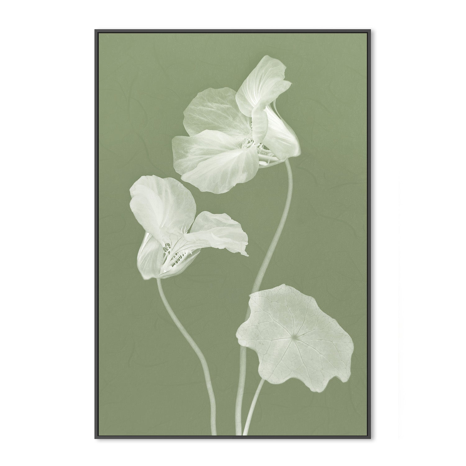 wall-art-print-canvas-poster-framed-Floral Dancer, Style A , By Leda Robertson-3