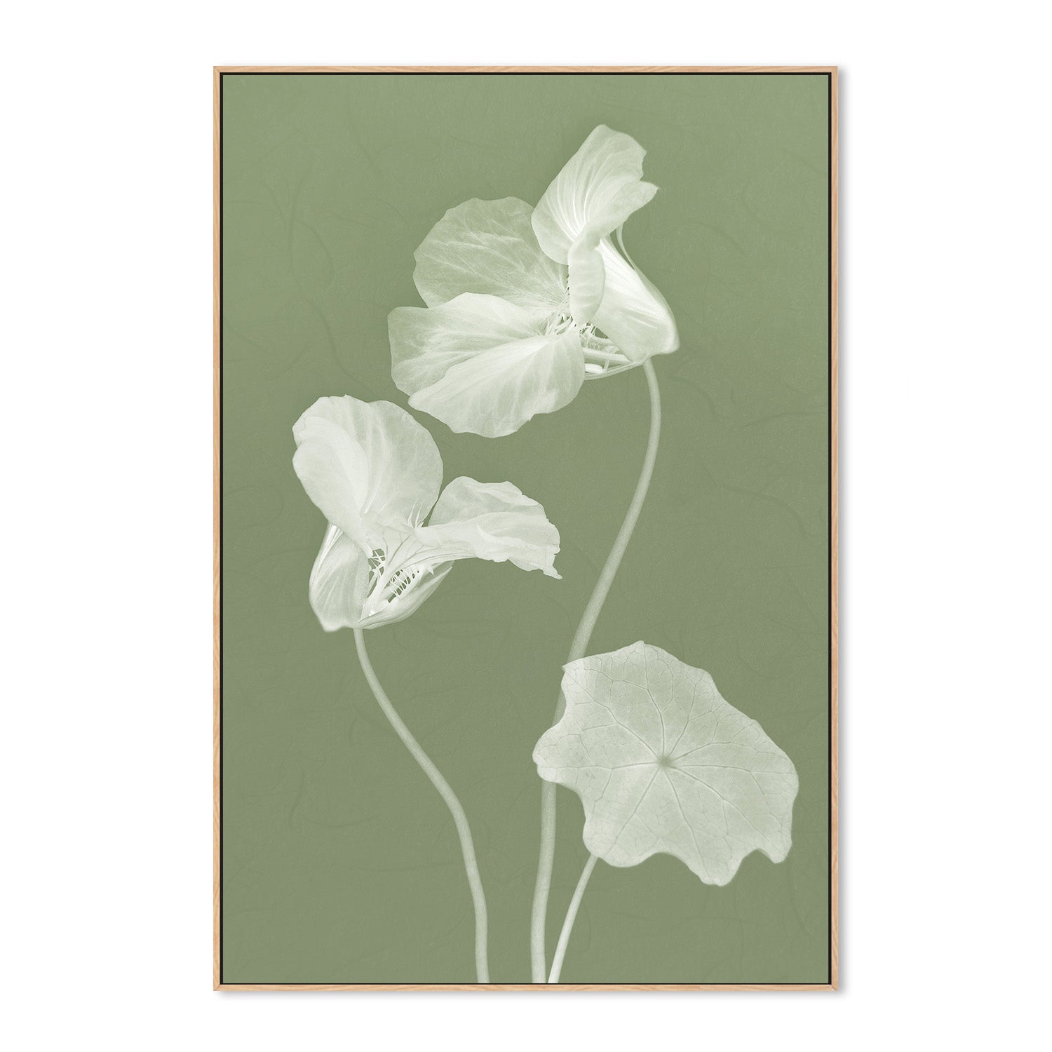 wall-art-print-canvas-poster-framed-Floral Dancer, Style A , By Leda Robertson-4