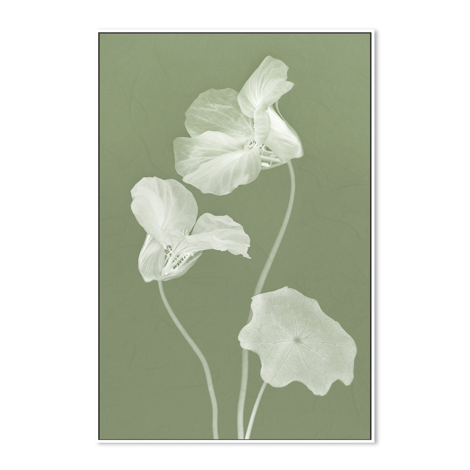 wall-art-print-canvas-poster-framed-Floral Dancer, Style A , By Leda Robertson-5