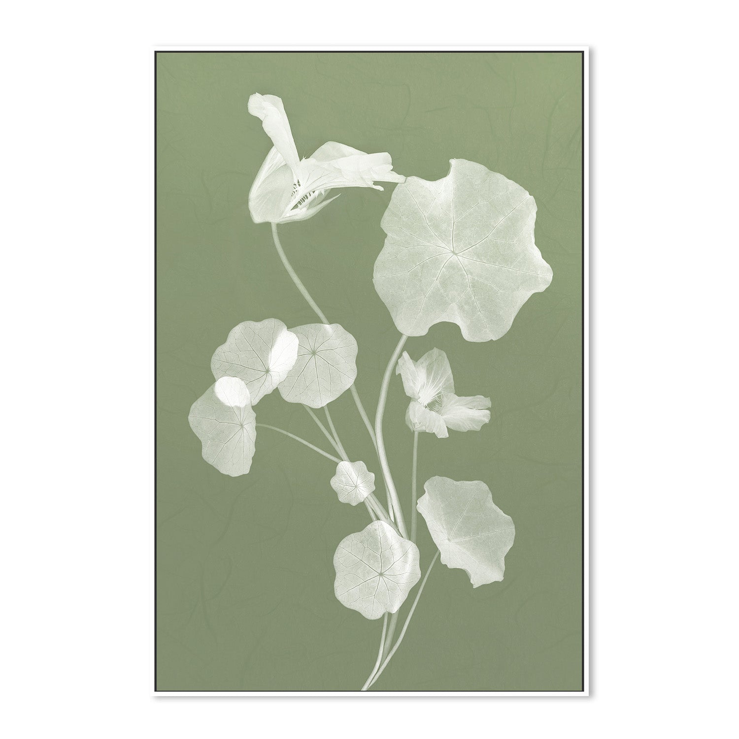 wall-art-print-canvas-poster-framed-Floral Dancer, Style B , By Leda Robertson-5