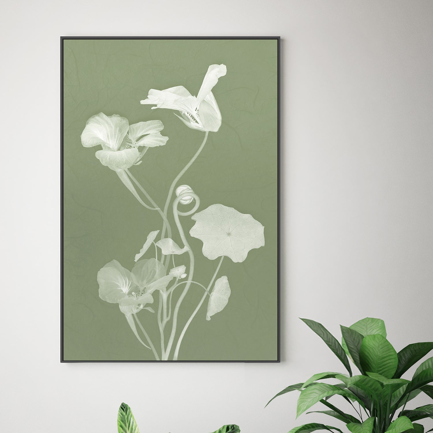 wall-art-print-canvas-poster-framed-Floral Dancer, Style C , By Leda Robertson-2