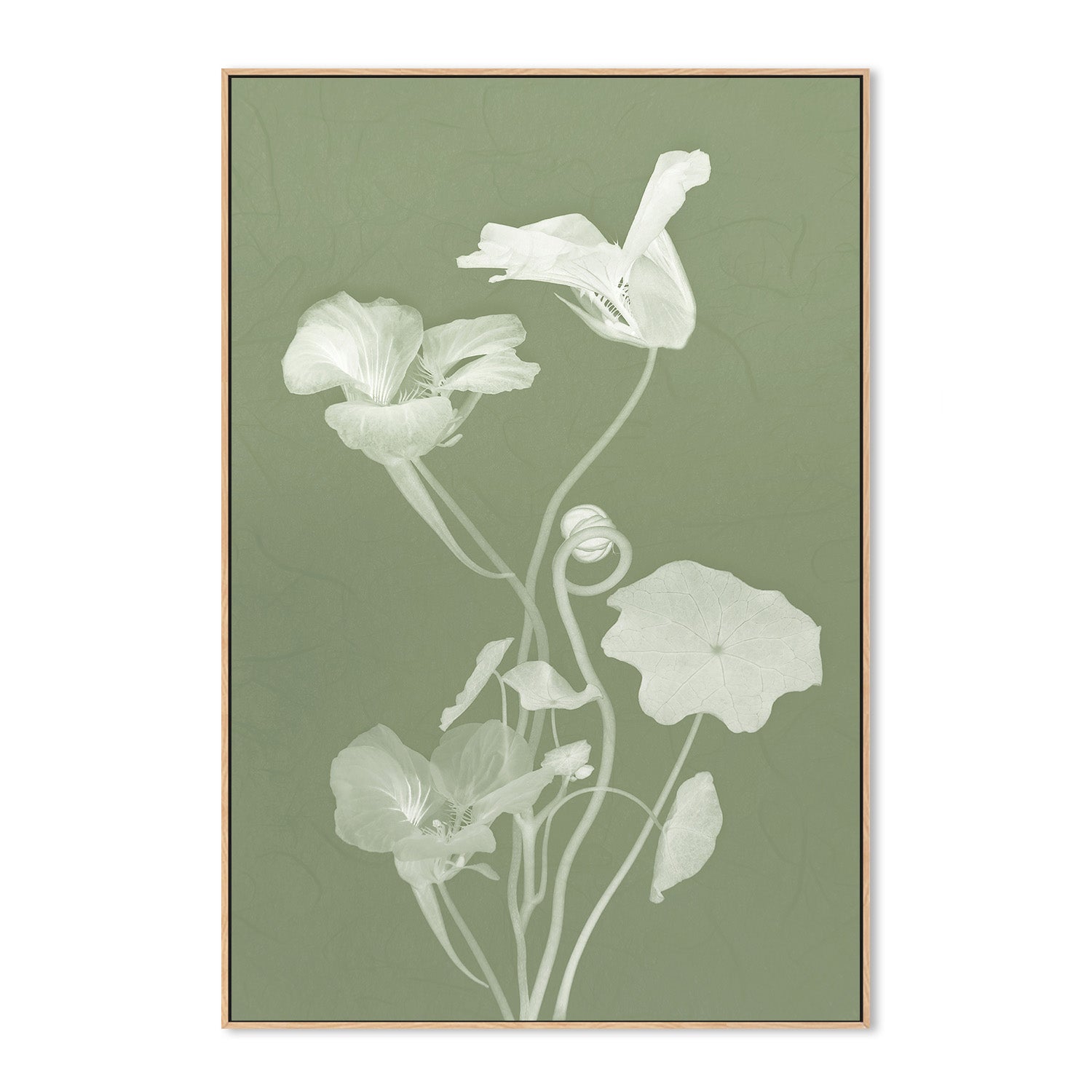 wall-art-print-canvas-poster-framed-Floral Dancer, Style C , By Leda Robertson-4