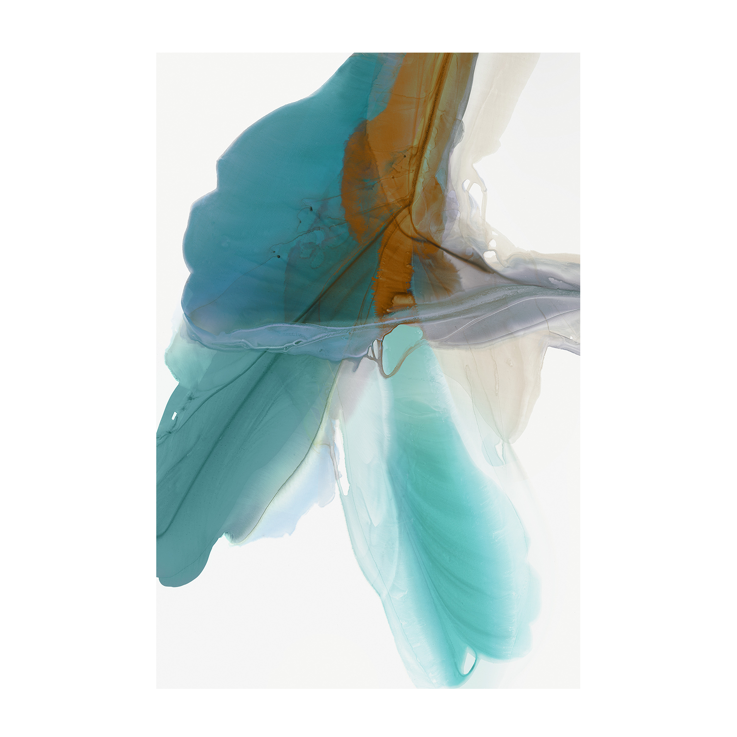 wall-art-print-canvas-poster-framed-Fluttering-1