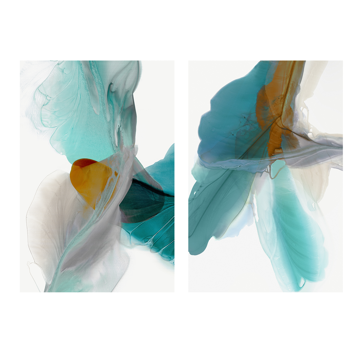 wall-art-print-canvas-poster-framed-Fluttering & Wind Blows, Set Of 2-1