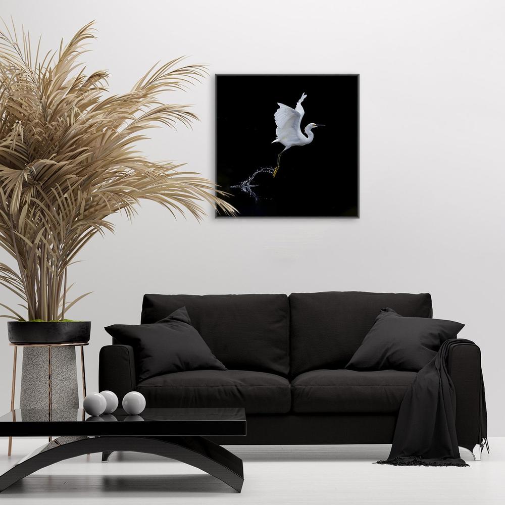 wall-art-print-canvas-poster-framed-Fly, By Tracy-by-Plus X Studio-Gioia Wall Art