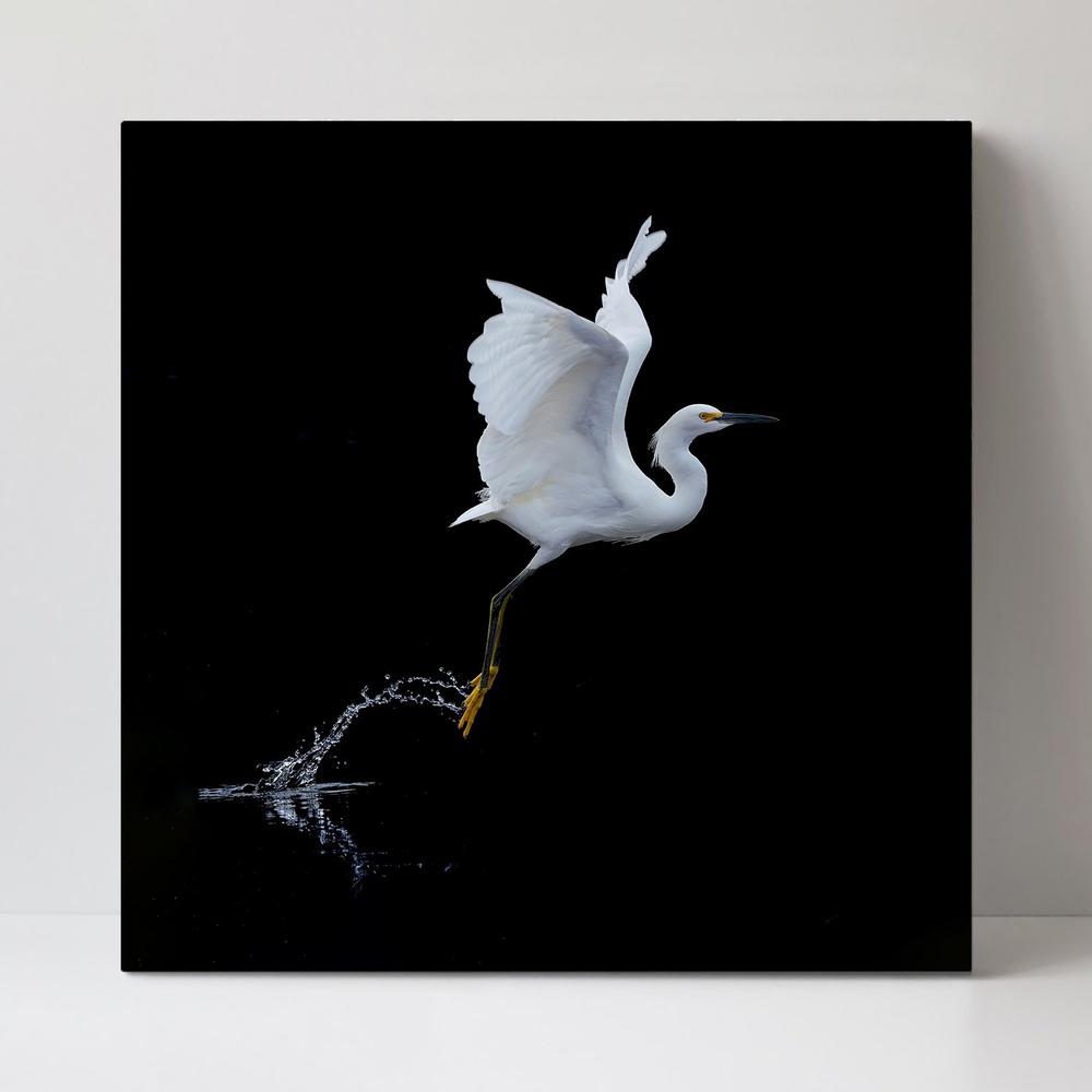 wall-art-print-canvas-poster-framed-Fly, By Tracy-by-Plus X Studio-Gioia Wall Art