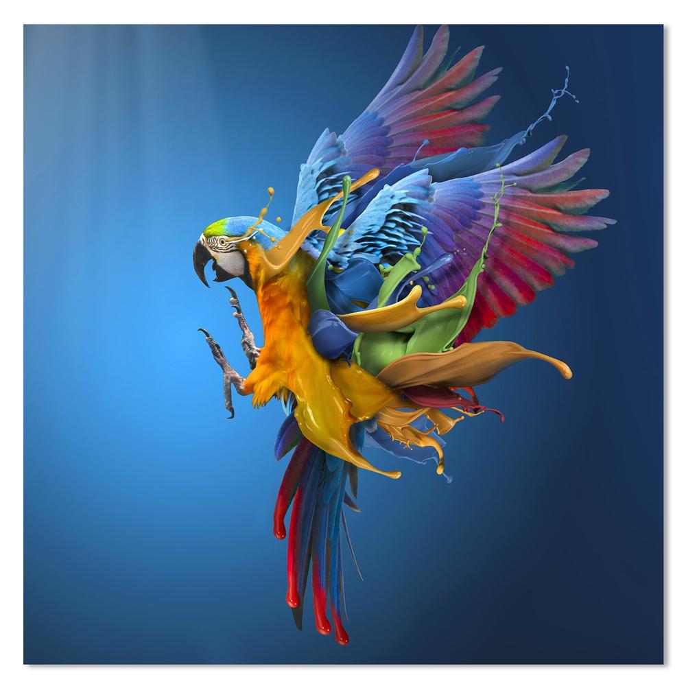 wall-art-print-canvas-poster-framed-Flying Colours, By Sulaiman Almawash-by-Plus X Studio-Gioia Wall Art