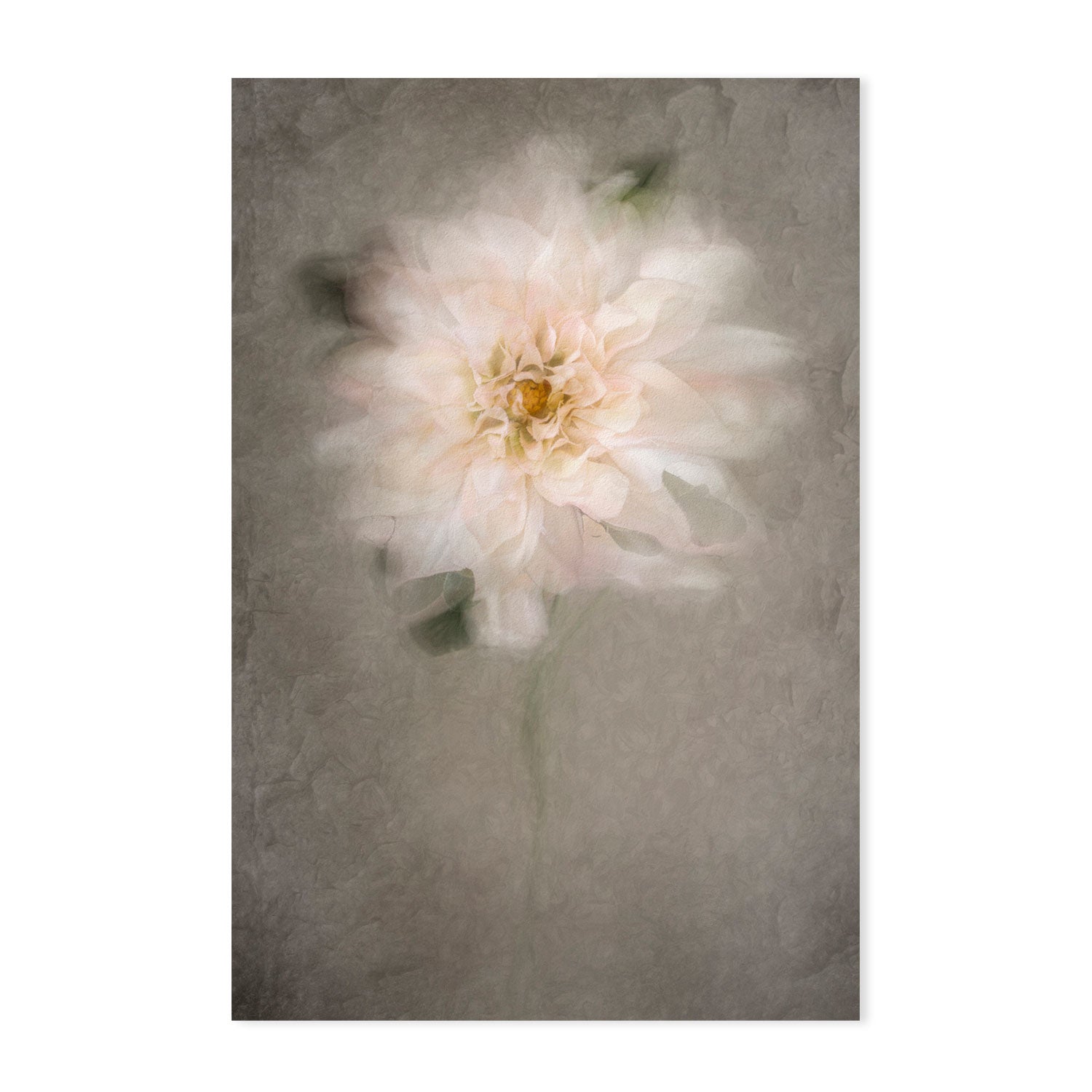 wall-art-print-canvas-poster-framed-For The Bride, by Cicek Kiral-by-Plus X Studio-Gioia Wall Art