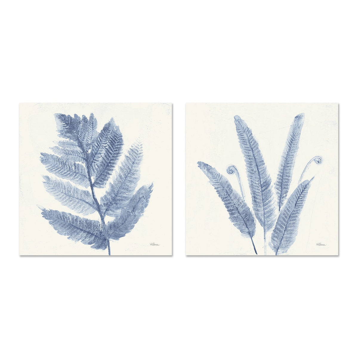 wall-art-print-canvas-poster-framed-Forest Ferns, Style A & B, Set Of 2 , By Albena Hristova-GIOIA-WALL-ART