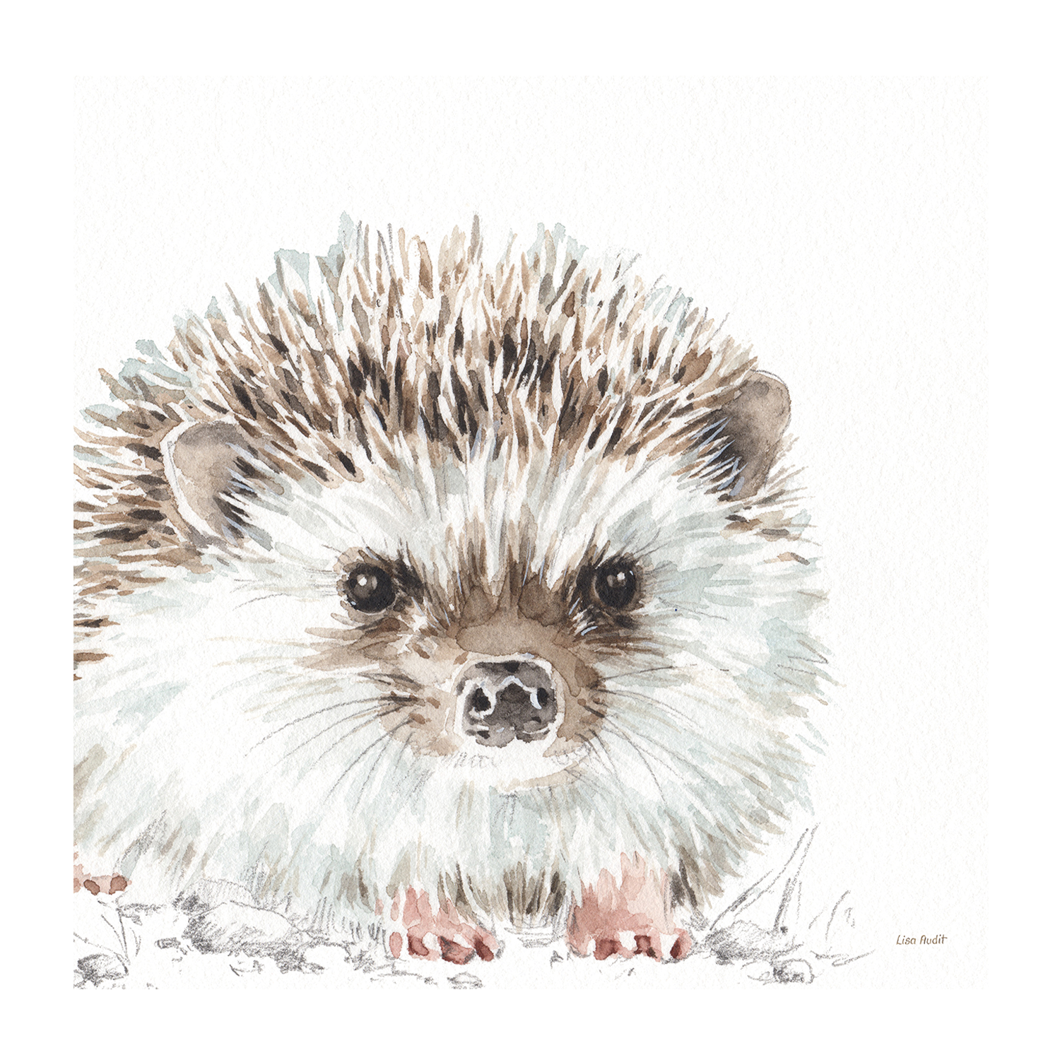 wall-art-print-canvas-poster-framed-Forest Friends, Style A , By Lisa Audit-GIOIA-WALL-ART