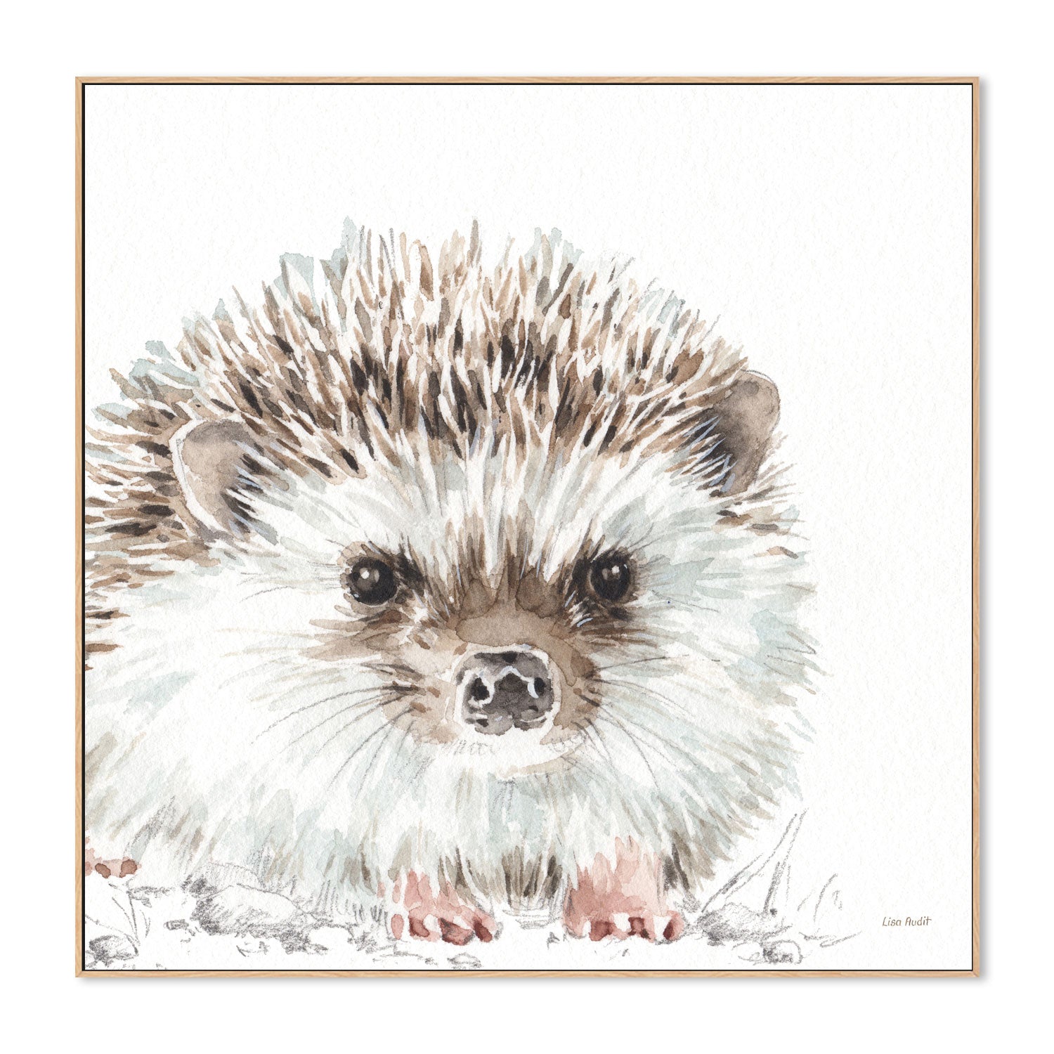 wall-art-print-canvas-poster-framed-Forest Friends, Style A , By Lisa Audit-GIOIA-WALL-ART