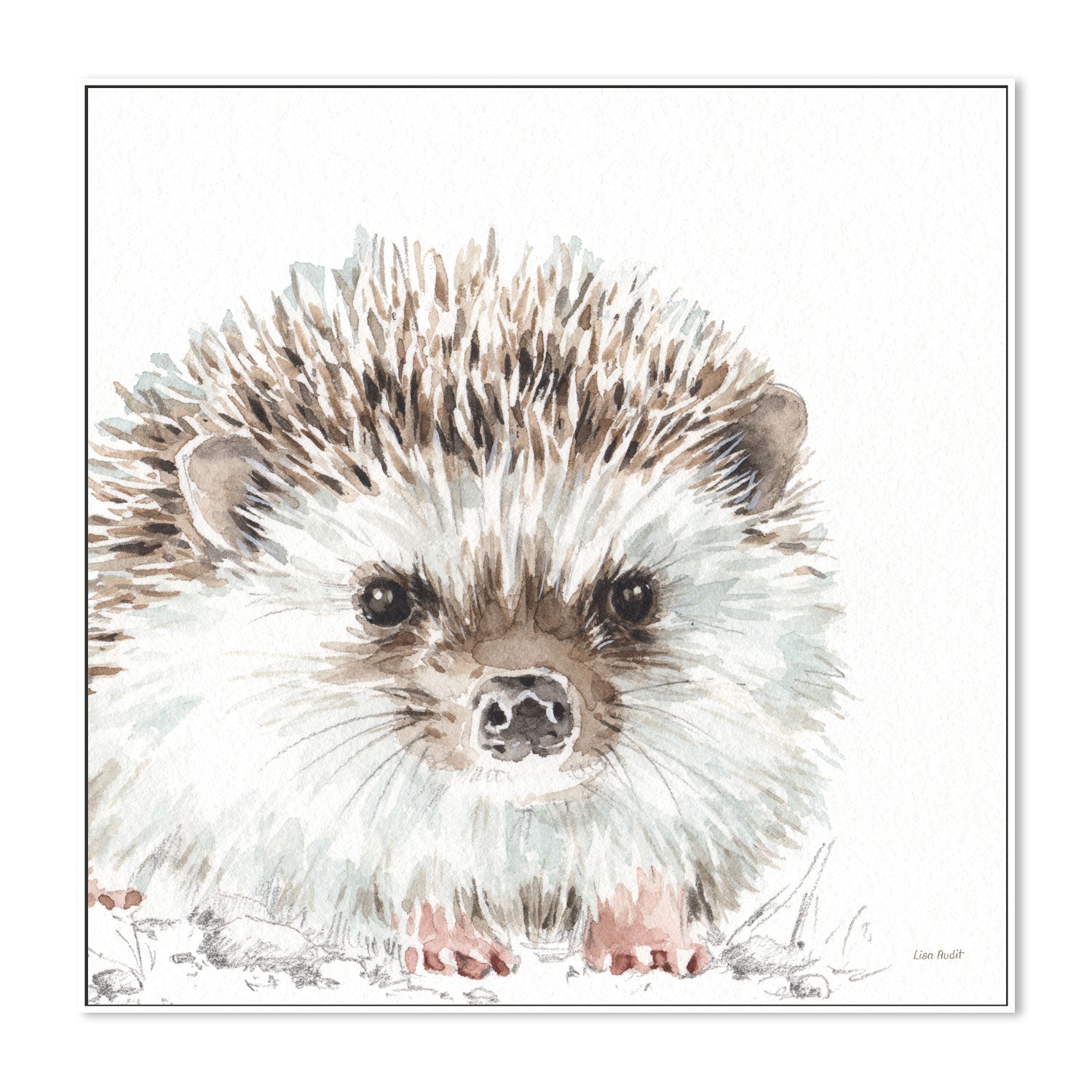 wall-art-print-canvas-poster-framed-Forest Friends, Style A , By Lisa Audit-GIOIA-WALL-ART
