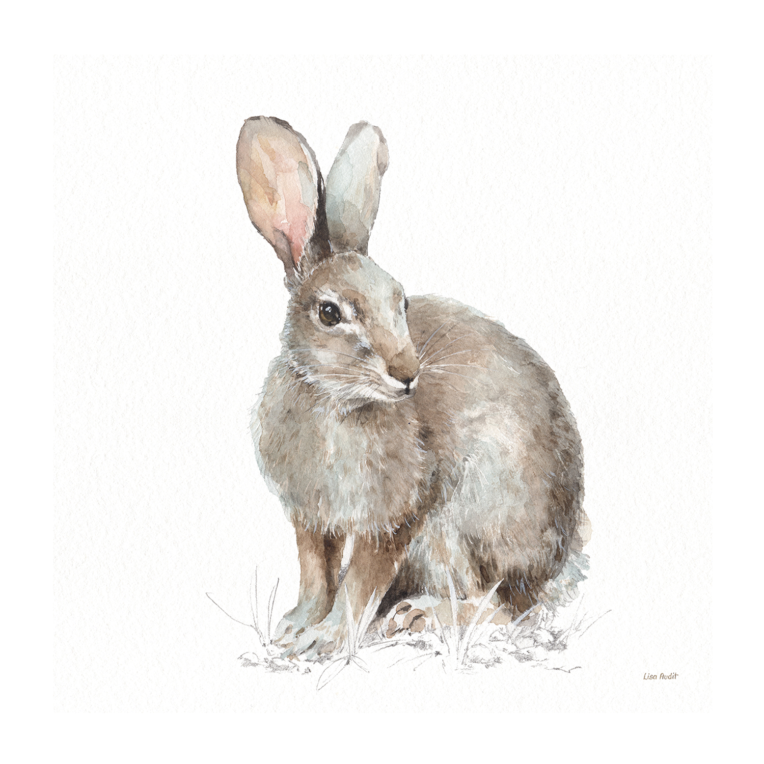 wall-art-print-canvas-poster-framed-Forest Friends, Style B , By Lisa Audit-GIOIA-WALL-ART
