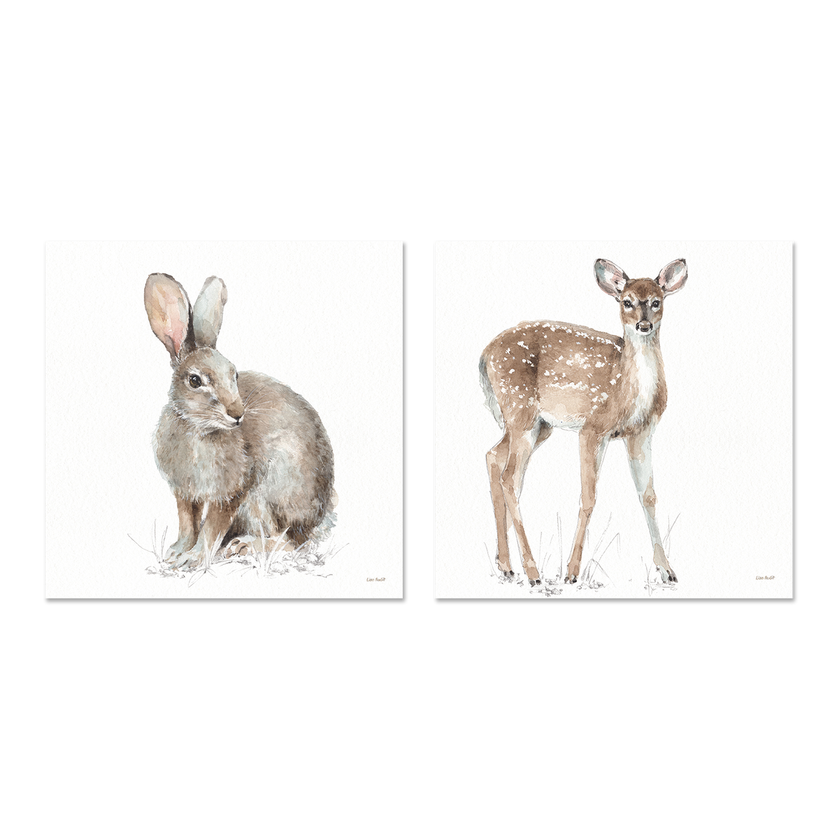 wall-art-print-canvas-poster-framed-Forest Friends, Style B & D, Set Of 2 , By Lisa Audit-GIOIA-WALL-ART